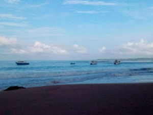 Gelombang Besar Pantai Baluta Membuka Peluang Wisata Bahari Tanah Masa