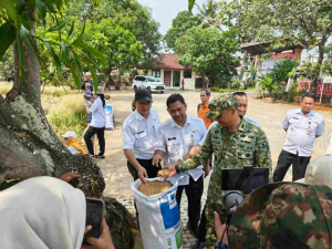 Kodim 0505 Jakarta Timur Panen Padi Inpari 32 di Ujung Menteng