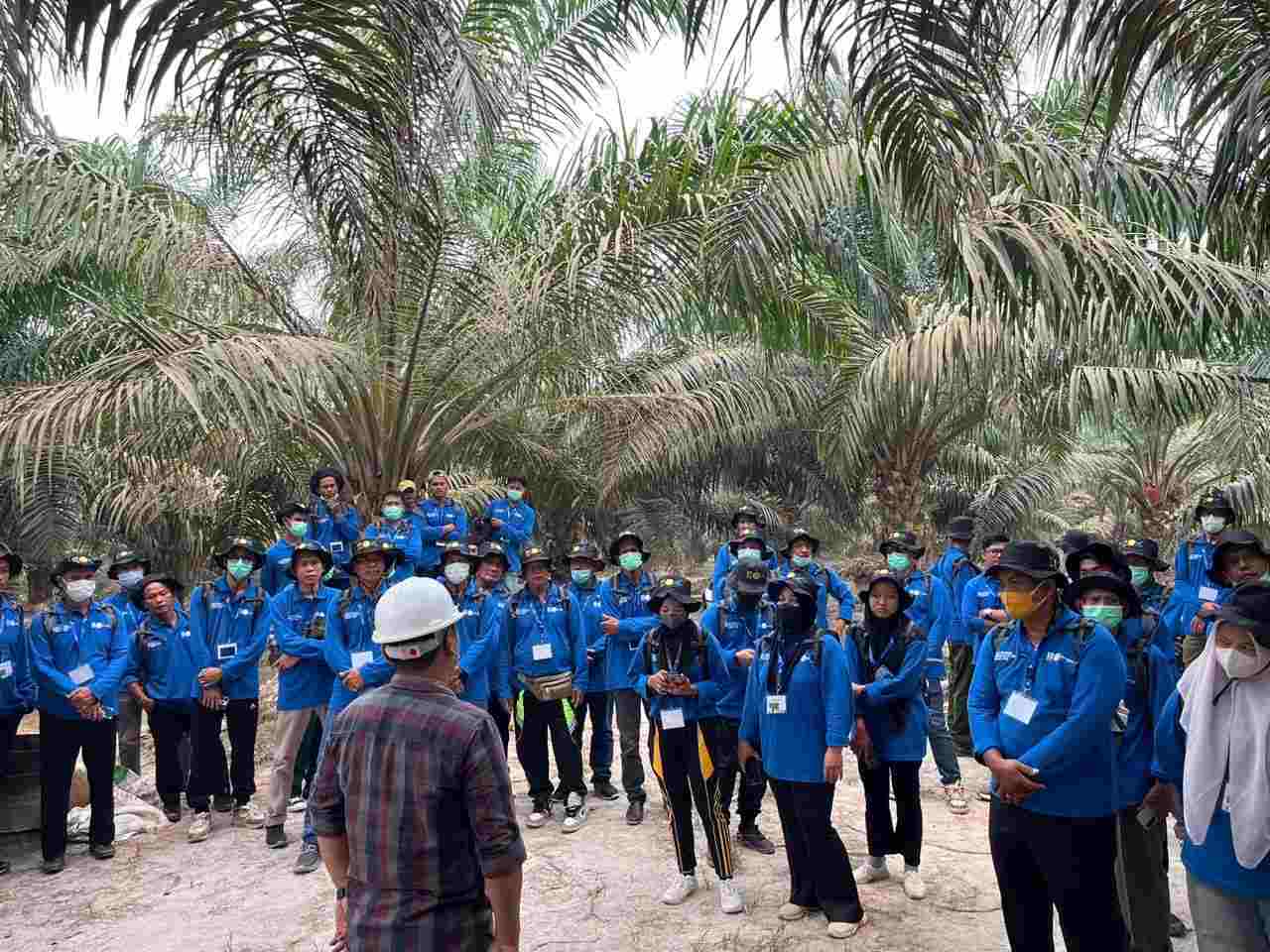 PalmCo dan IPB Training Latih 211 Petani Sawit Rakyat di Jambi