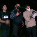 Polisi Selamatkan Induk dan Anak Orang Utan Terdampak Karhutla di Kalteng